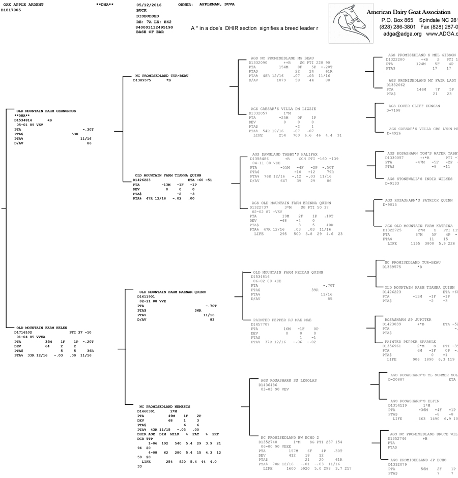 Oak Apple Ardent pedigree