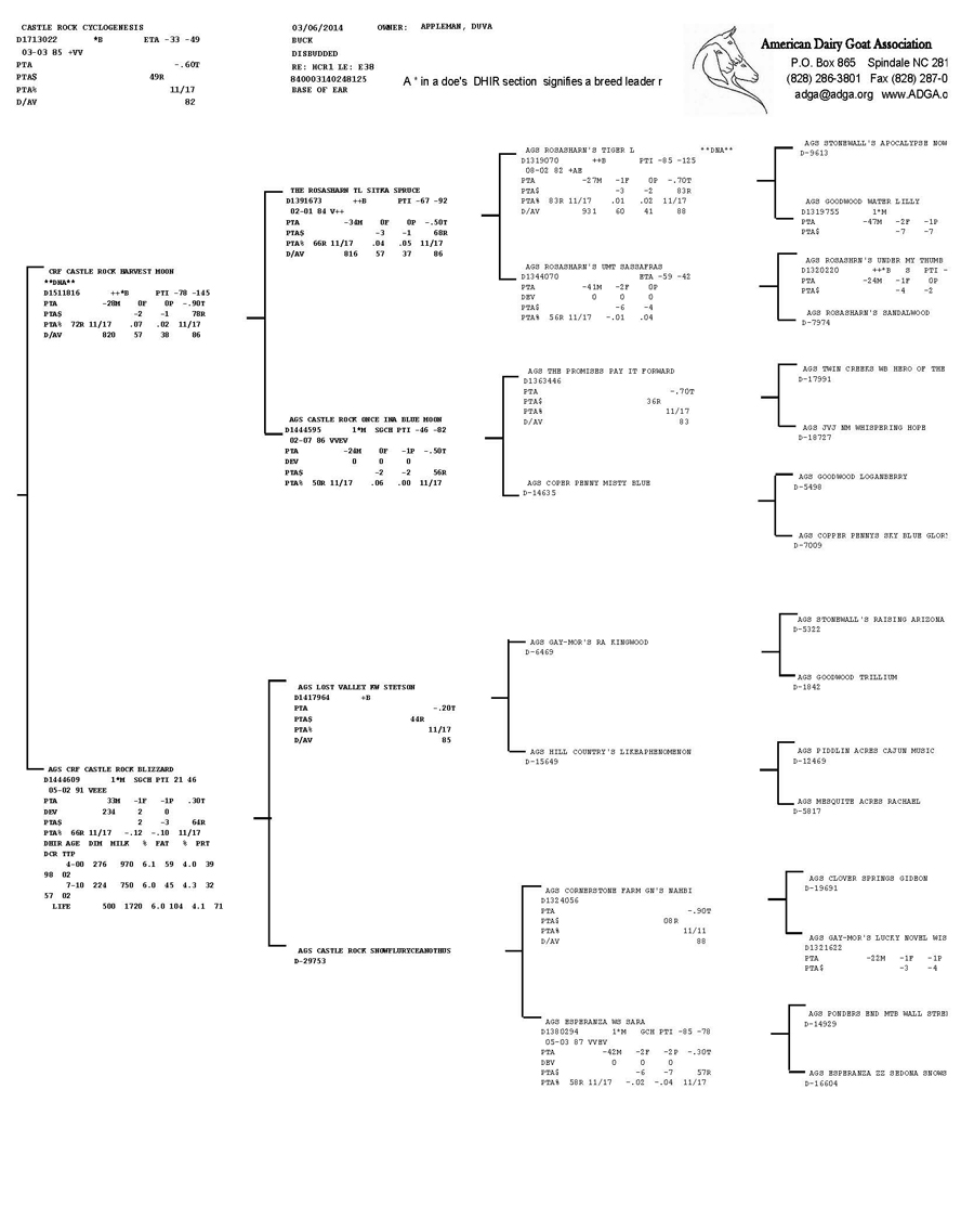 Castle Rock Cyclogenesis pedigree
