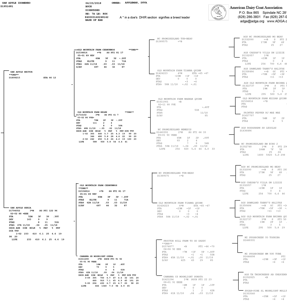 Oak Apple Idomeneo pedigree