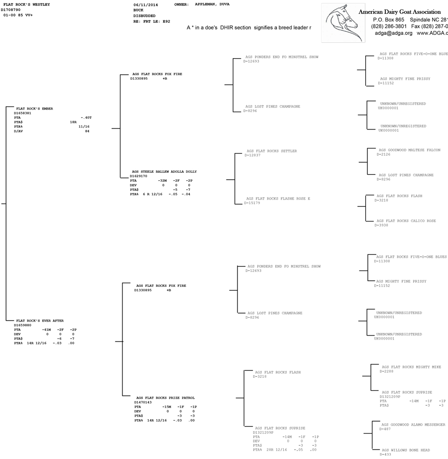 Flat Rock's Westley pedigree