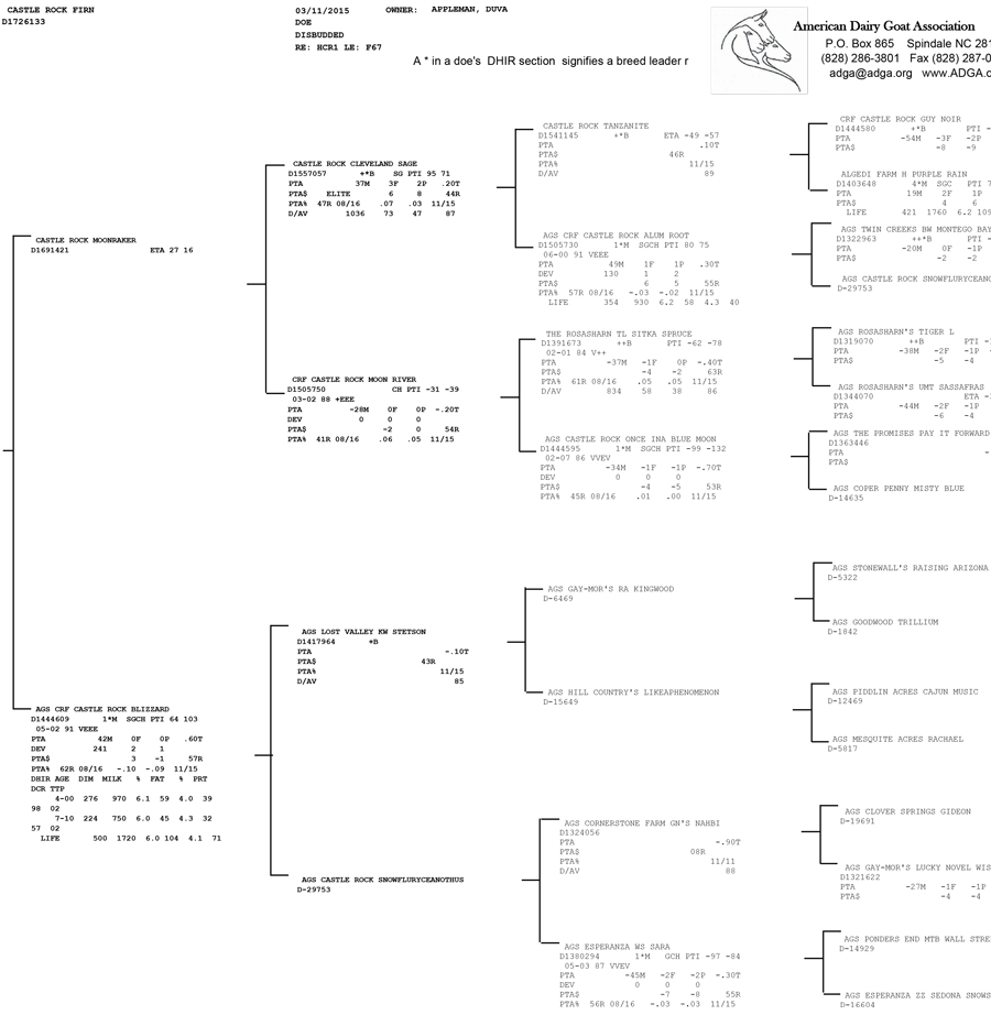 Castle Rock Firn Pedigree
