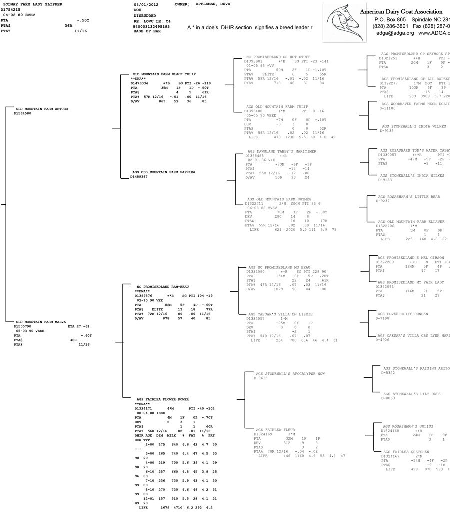 Solway Farm Lady Slipper pedigree