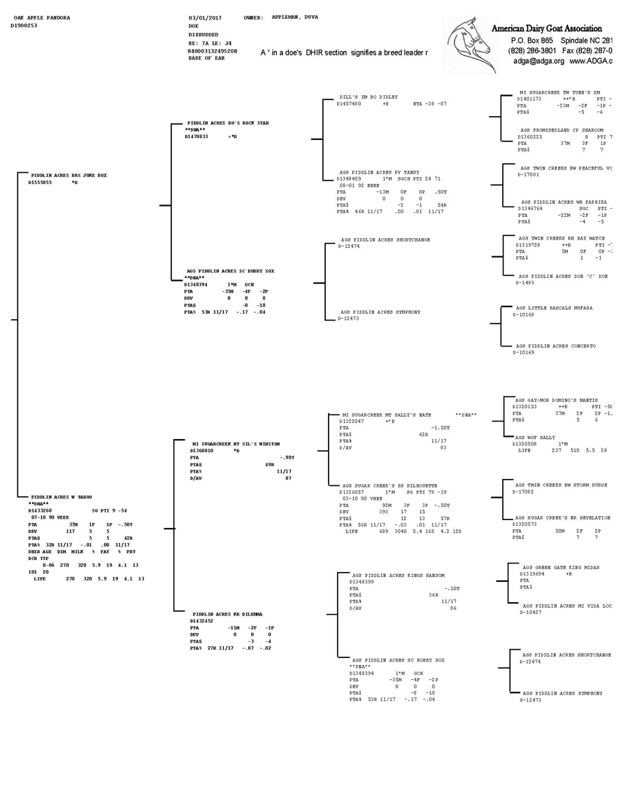 Oak Apple Pandora pedigree