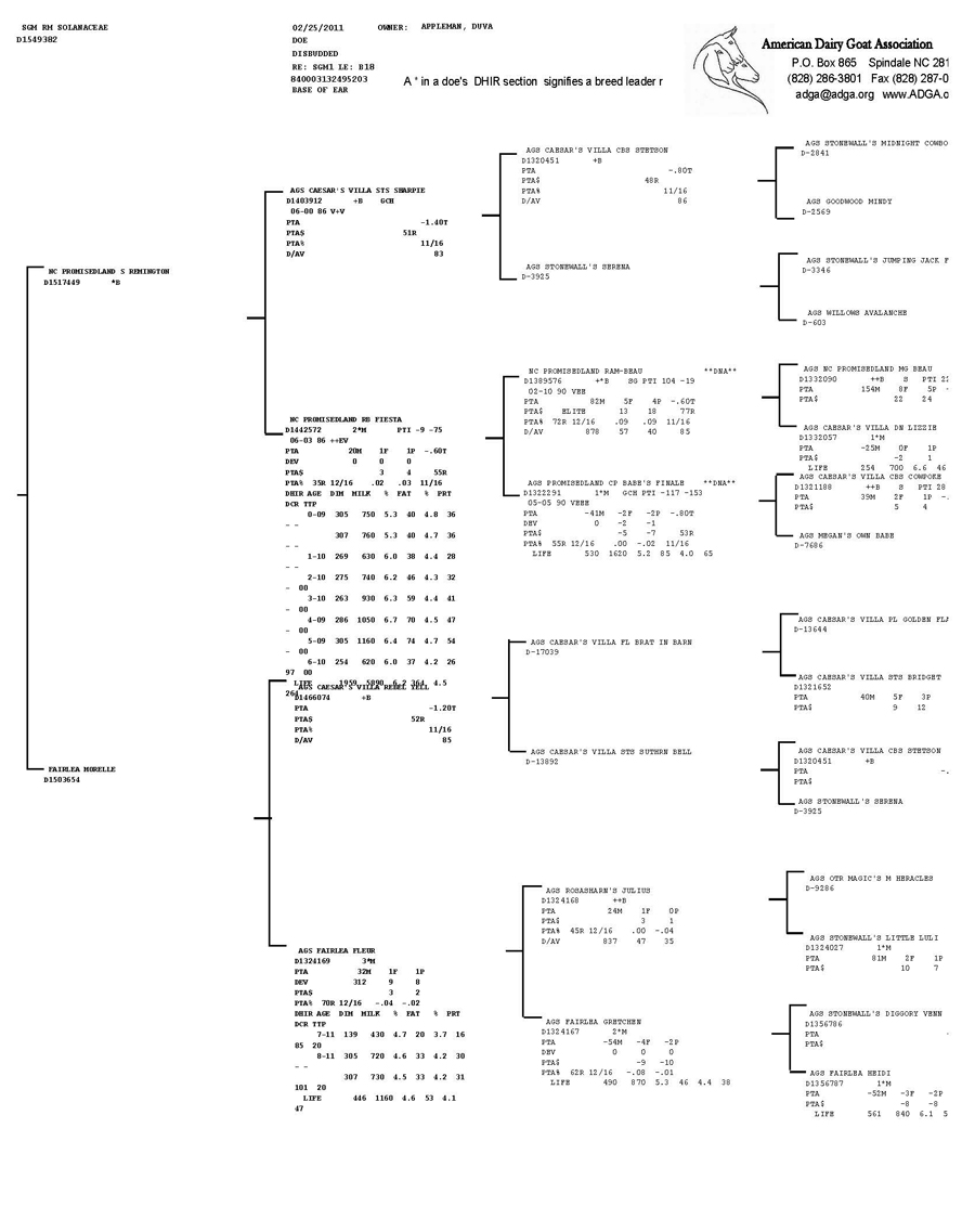 SGM RM Solanaceae pedigree