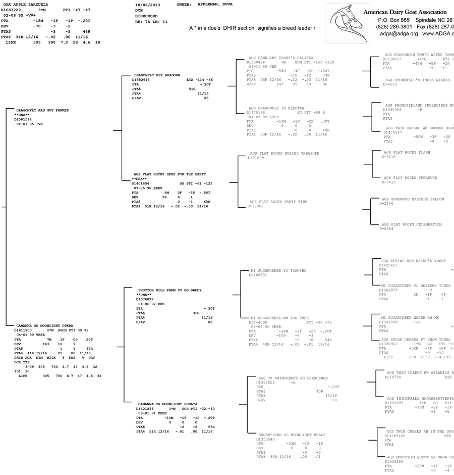 Oak Apple Zarzuela pedigree