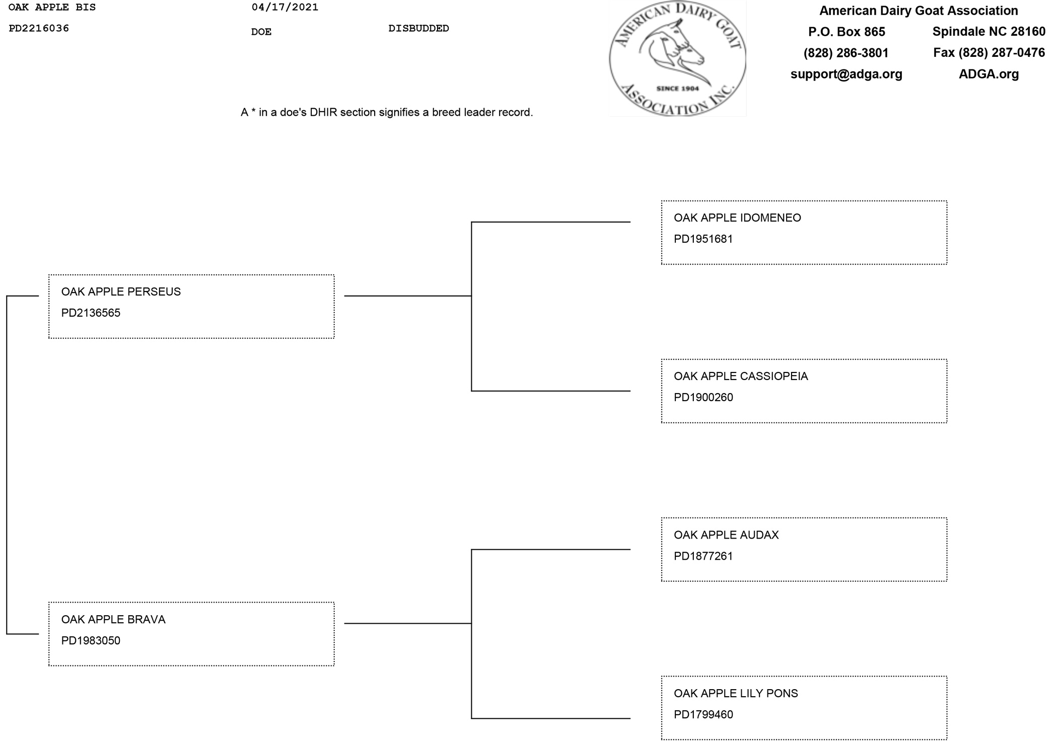 Oak Apple Bis pedigree