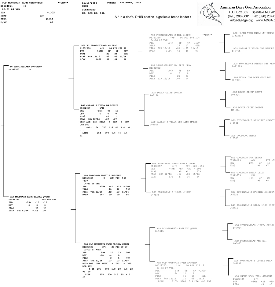 Old Mountain Farm Cernunnos pedigree