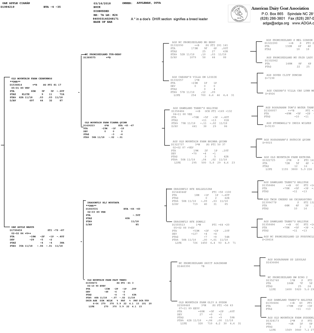 Oak Apple Ciarán pedigree