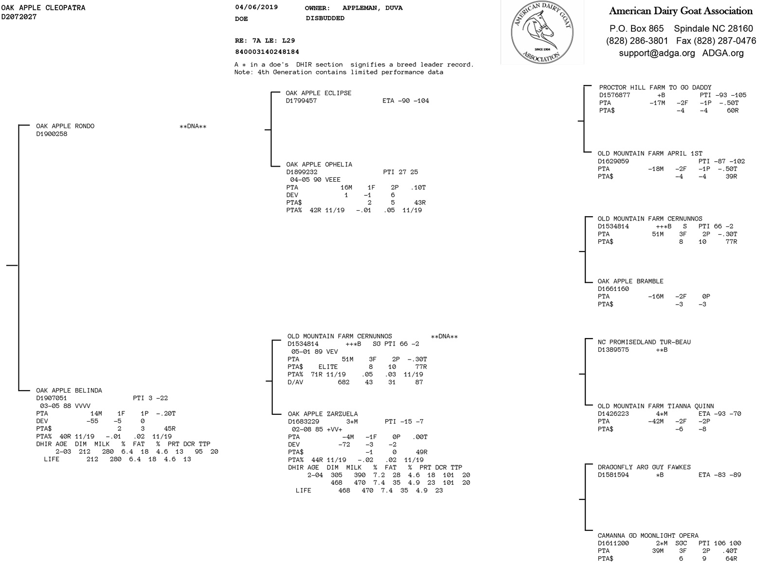 Oak Apple Cleopatra pedigree view