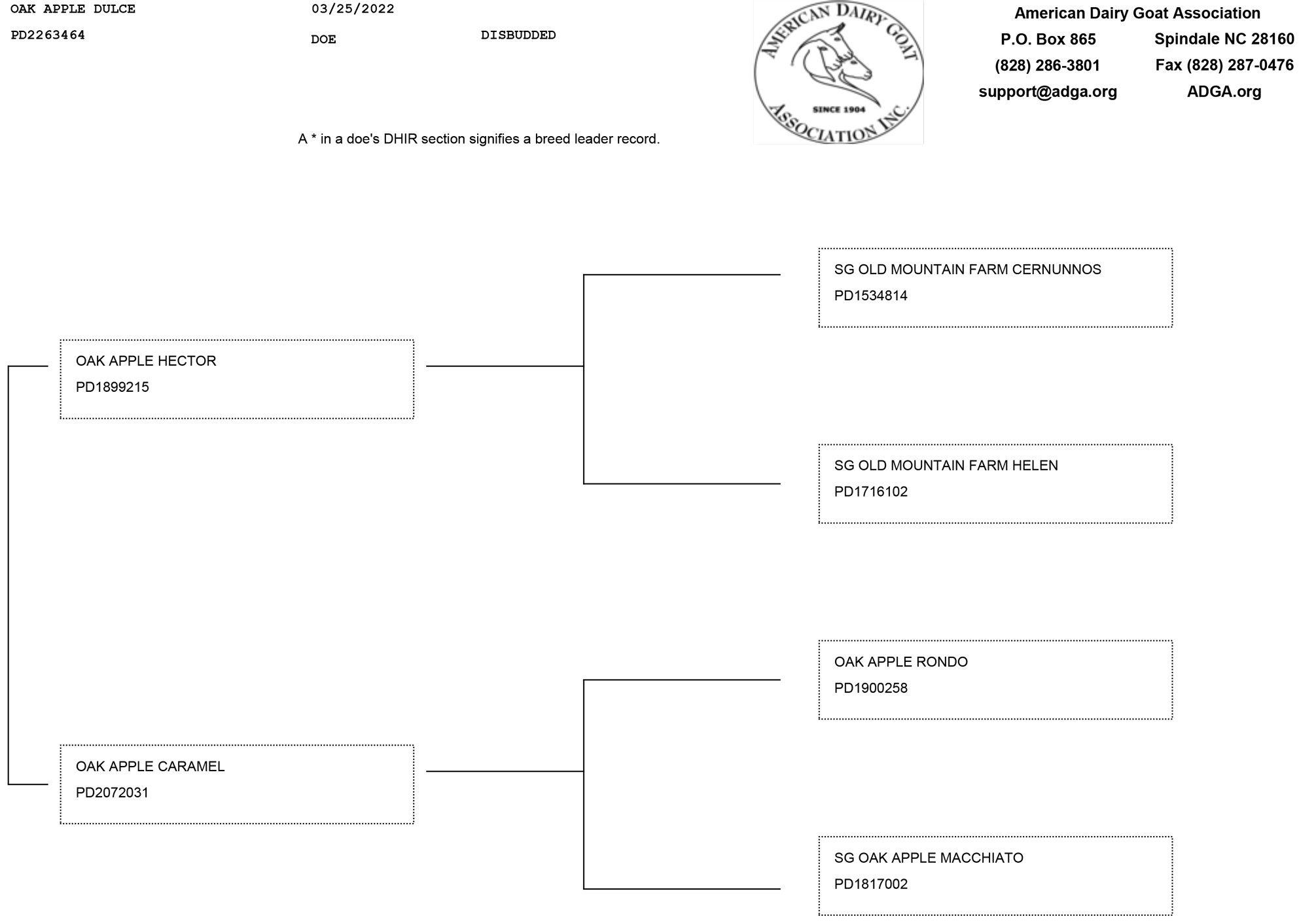 Oak Apple Dulce pedigree