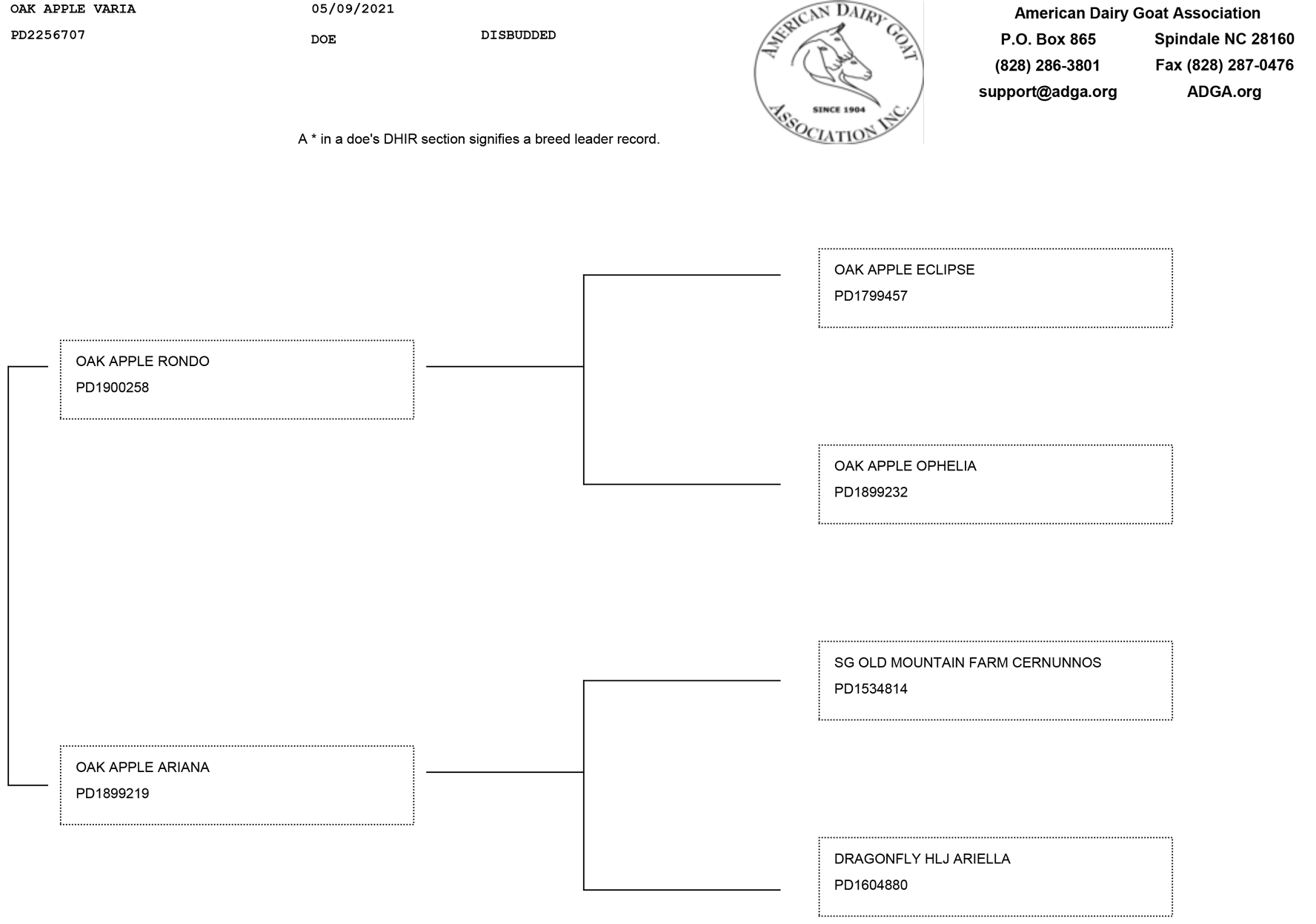 Oak Apple Varia pedigree